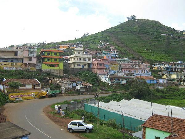 3.ಸ್ನೋ ಗಾರ್ಡನ್