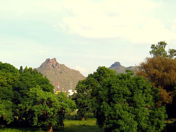 ವೆಲ್ಲೂರು