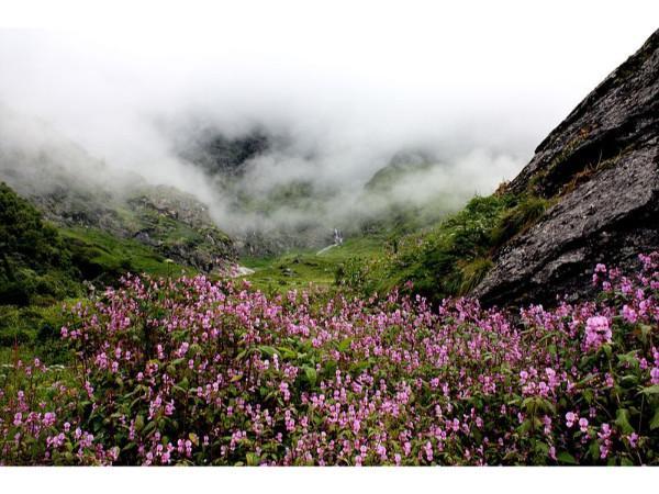 4.ಪಾರ್ಕ್ 4.ಪಾರ್ಕ್