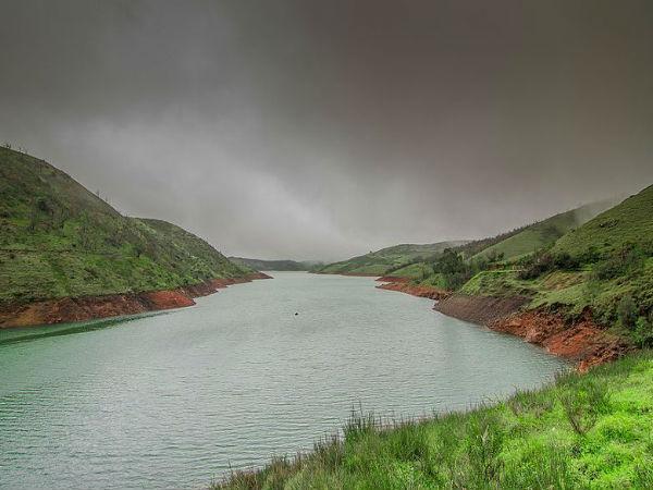 4.ಲಾಂಗ್ ವುಡ್ ಷೋಲಾ