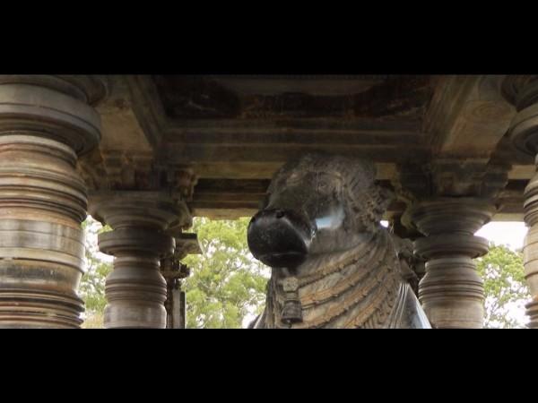 4.ಸಮೀಪದಲ್ಲಿನ ಹುತ್ತ