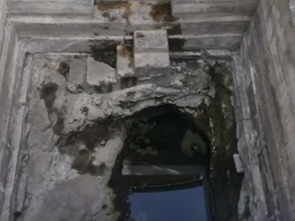 6.ಮಕ್ಕಳು ಖಚಿತವಾಗಿ ಹುಟ್ಟುತ್ತಾರೆ. 