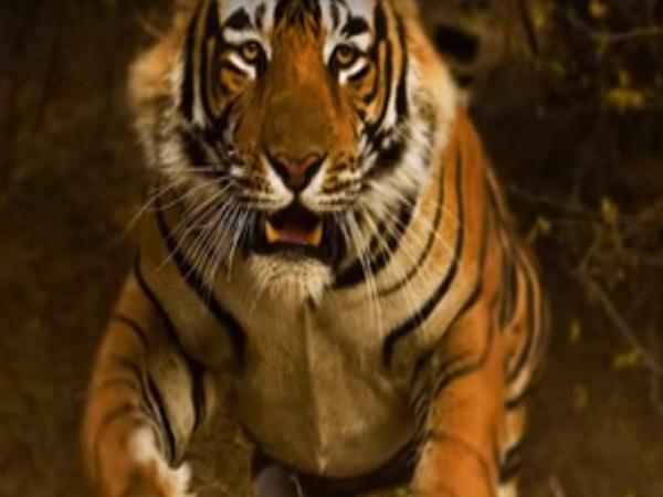 6.ಎಲ್ಲಿದೆ?