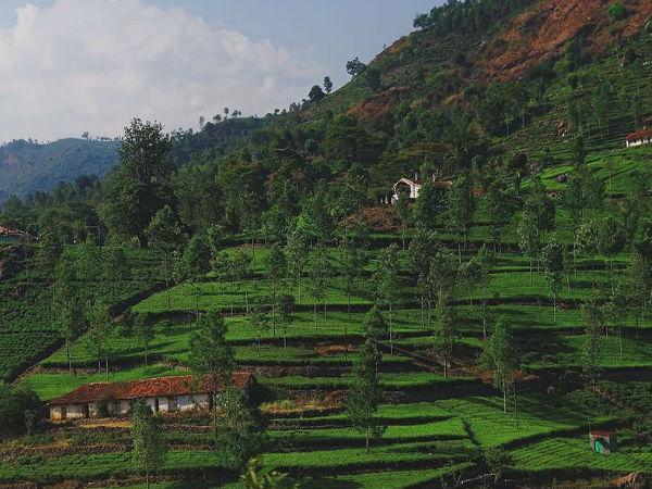 6.ಜಾನ್ ಸುಲ್ಲಿವನ್ ಮೆಮೊರಿಯಲ್