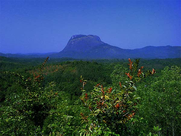 1. ಜಮಾಲಾಬಾದ್ ಕೋಟೆಗೆ ಭೇಟಿ ಕೊಡಲು ಸೂಕ್ತ ಸಮಯ