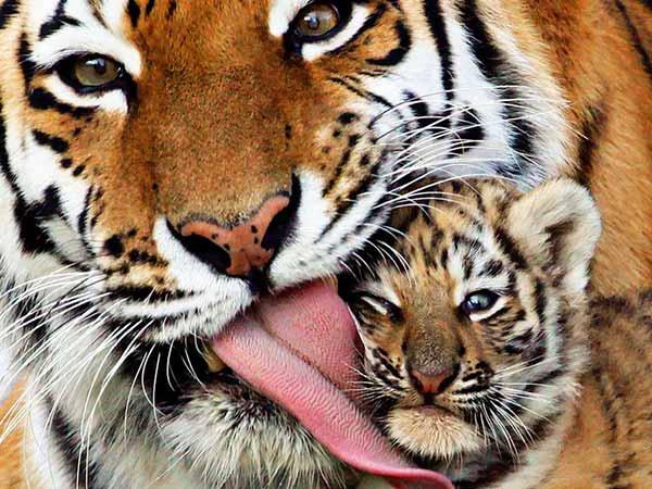 3.ನಿಮ್ಮ ಕಣ್ಣು ಕ್ಯಾಮೆರಾ ಕಣ್ಣಾದರೆ... ಈ ಪ್ರದೇಶಗಳು ನಿಮಗೆ ಆಹ್ವಾನಿಸುತ್ತವೆ...