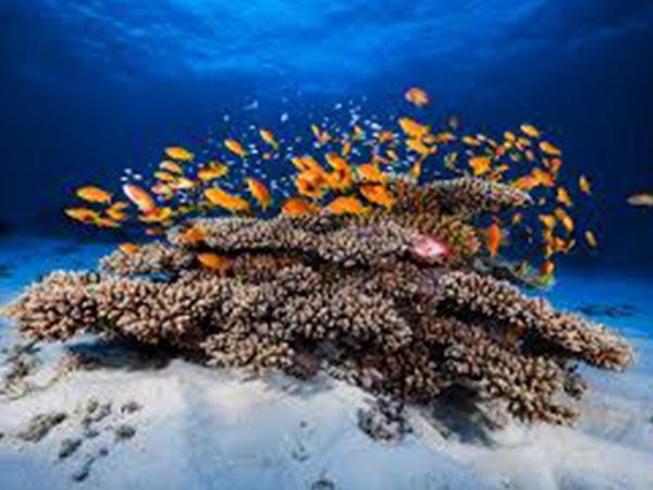 8.ನಿಮ್ಮ ಕಣ್ಣು ಕ್ಯಾಮೆರಾ ಕಣ್ಣಾದರೆ... ಈ ಪ್ರದೇಶಗಳು ನಿಮಗೆ ಆಹ್ವಾನಿಸುತ್ತವೆ...