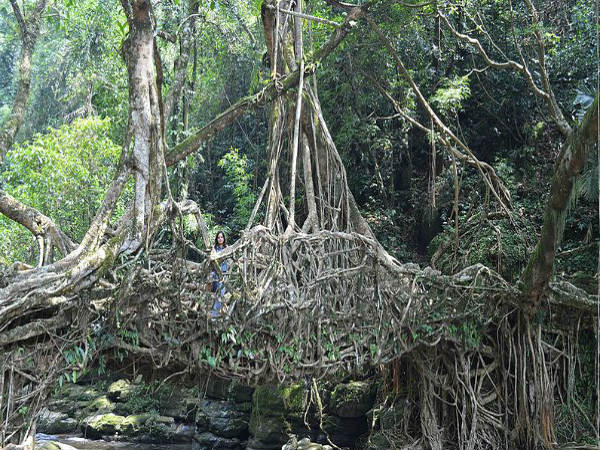 ಪ್ರಕೃತಿ ಸೌಂದರ್ಯ ಕಾಣ ಸಿಗುತ್ತದೆ