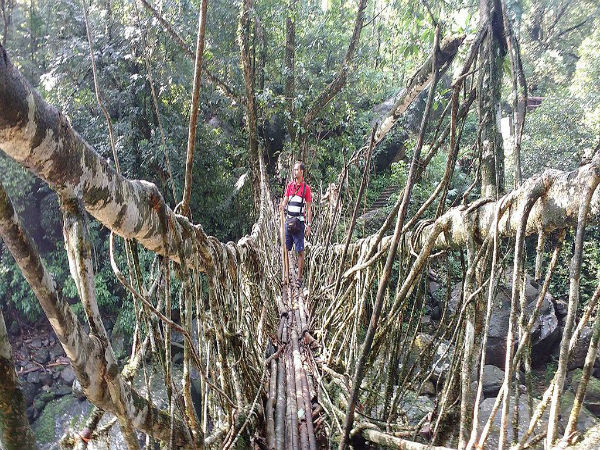 50 ಜನರನ್ನು ಹೊರಬಲ್ಲದು 