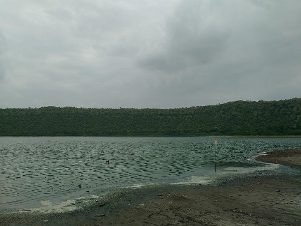 ವಲಸೆ ಪಕ್ಷಿಗಳೂ ಕಾಣಸಿಗುತ್ತವೆ