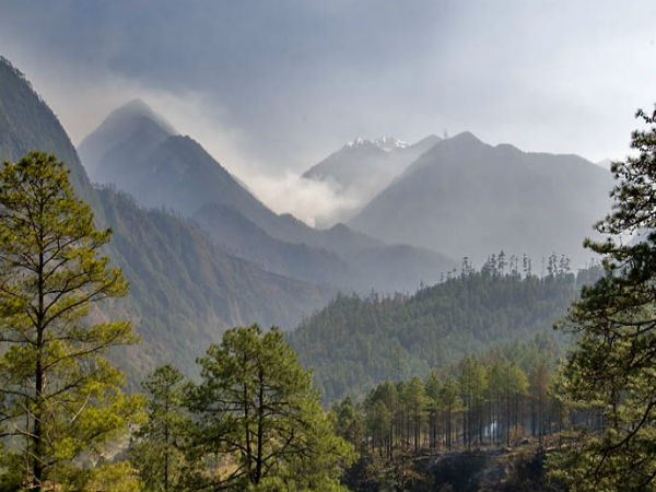 3. ನೀವು ಭಾಲುಕ್ ಪೋಂಗ್‌ಗೆ ಏಕೆ ಭೇಟಿ ಕೊಡಬೇಕು ? 