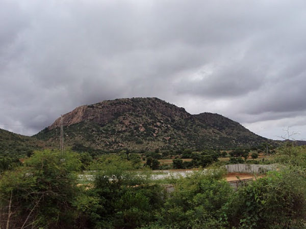 ಬಿಳಿಕಲ್ ರಂಗನಾಥ ಸ್ವಾಮಿ ಬೆಟ್ಟ