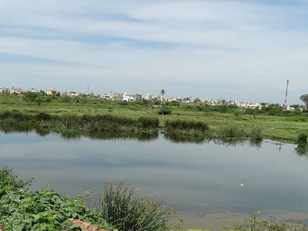 ಬೊಗಾಧಿ ಸರೋವರ
