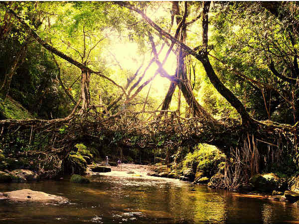 ಚಿರಾಪುಂಜಿ 