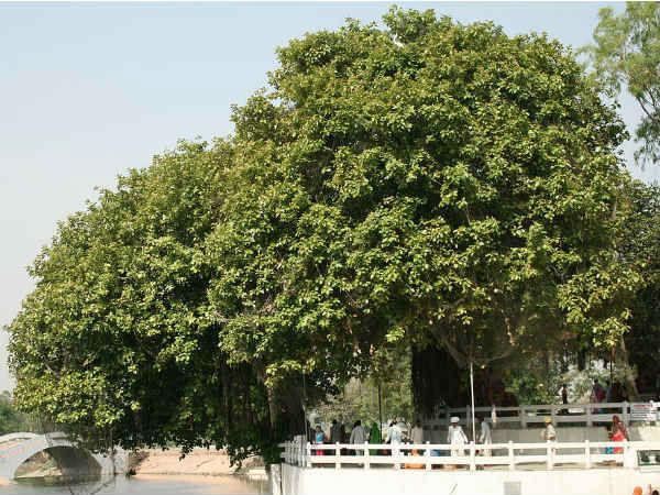 ಜ್ಯೋತೀಸರ್