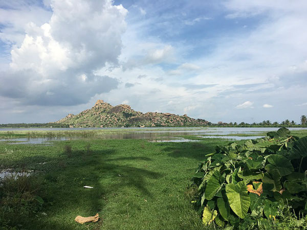 ಕುಂತಿ ಬೆಟ್ಟ