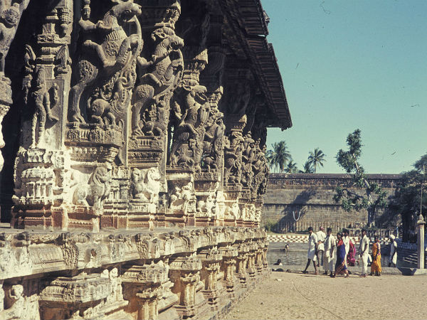 ಚಿನ್ನದ ಹಾಗೂ ಬೆಳ್ಳಿಯ ಹಲ್ಲಿ