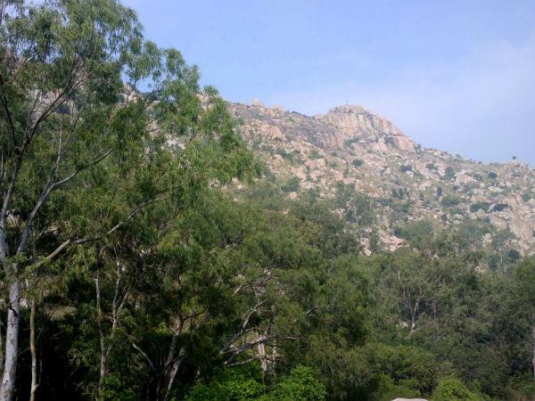 1.ಅಂತರ ಗಂಗೆ ಟ್ರೆಕ್ಕಿಂಗ್ ಮತ್ತು ಗುಹೆ