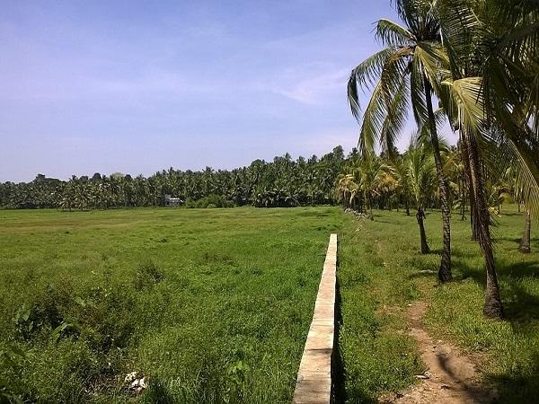 ಕೇರಳದ ಮಲಪ್ಪುರಂನ ತಿರೂರು 