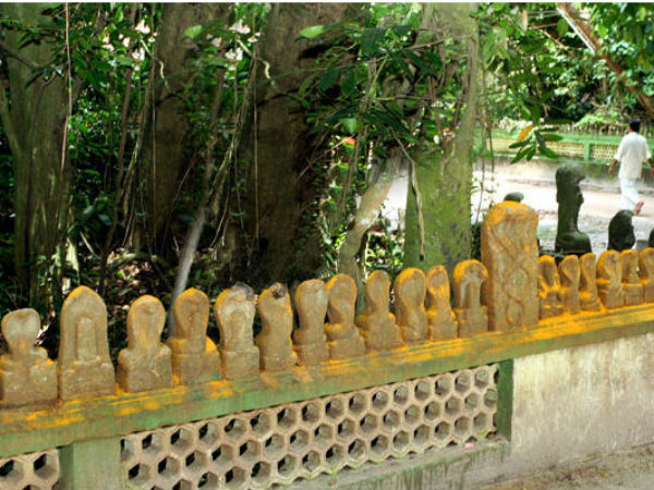 4.ವಿಪರೀತ ಹಾವುಗಳು