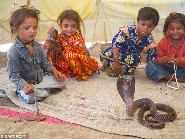 ಹಾವುಗಳಿಗೂ ಮನೆಯಲ್ಲಿ ಜಾಗ