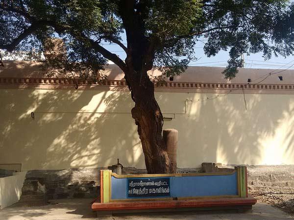 9.16 ಶುಕ್ರವಾರಗಳು ಉಪವಾಸ