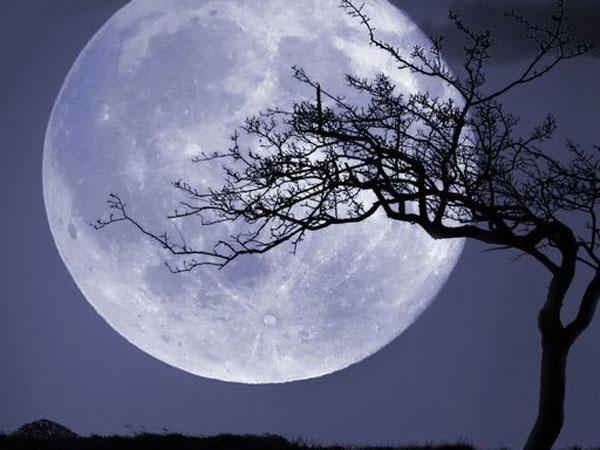 9.ಪೂಜೆಗಳು