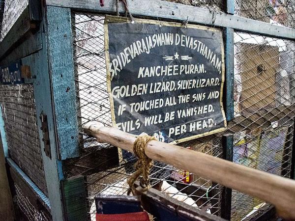 3.ಅನೇಕ ಪ್ರದೇಶಗಳಿಂದ