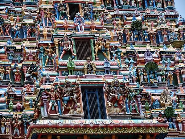 3.ದಟ್ಟವಾದ ಅರಣ್ಯದಲ್ಲಿ