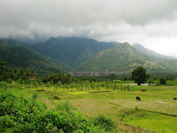 8. ಅಚಾಂಕೋವಿಲ್ 8. ಅಚಾಂಕೋವಿಲ್