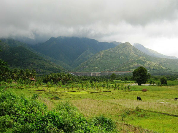 8. ಅಚಾಂಕೋವಿಲ್ 