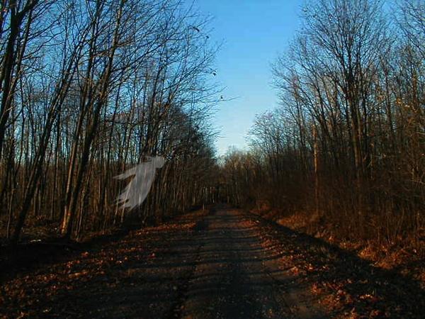 ಕಾಸ್ರಾ ಘಾಟ್‌ , ಮುಂಬೈ-ನಾಸಿಕ್ ಹೈವೆ