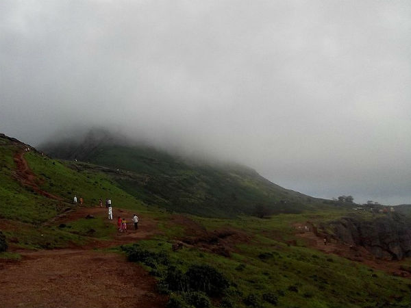 4. ಬ್ರಹ್ಮಗಿರಿ ಬೆಟ್ಟಗಳಿಗೆ ನೀವು ಭೇಟಿ ಕೊಡಲೇ ಬೇಕು ಏಕೆ ?