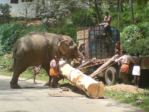 1. ಚಿತ್ತಾರ್ 1. ಚಿತ್ತಾರ್