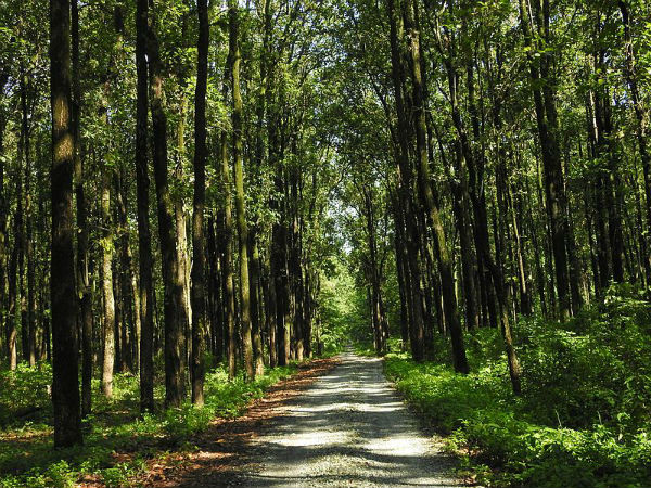 ಏನೆಲ್ಲಾ ತೆರೆದಿರುತ್ತದೆ