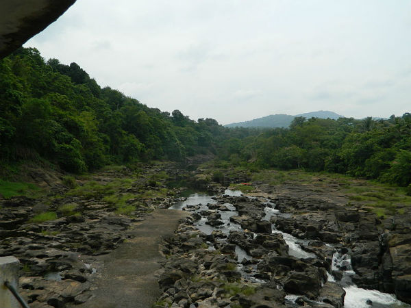 5. ರಾನ್ನಿ 5. ರಾನ್ನಿ