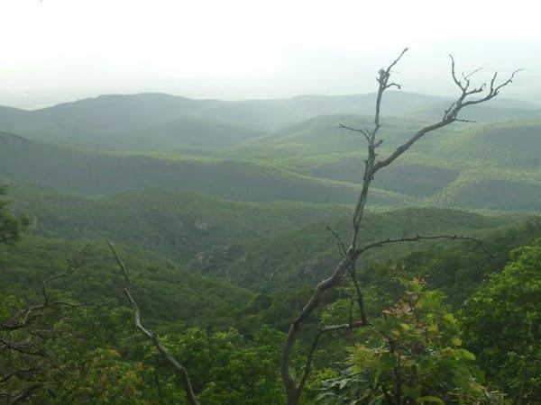 2.ತಿರುಪತಿಯಿಂದ 65 ಕಿ.ಮೀ