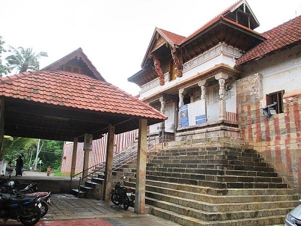 9.ರುದ್ರಾಕ್ಷಿ