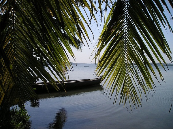 ಹಿನ್ನೀರಿನ ಭಾಗ