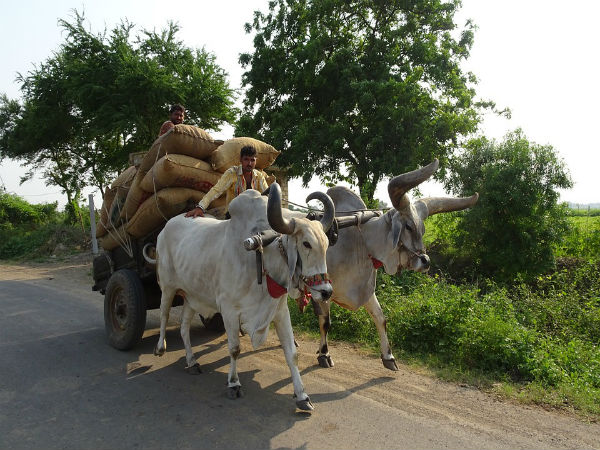 ಯಾವುದೀ ಹಳ್ಳಿ ಯಾವುದೀ ಹಳ್ಳಿ