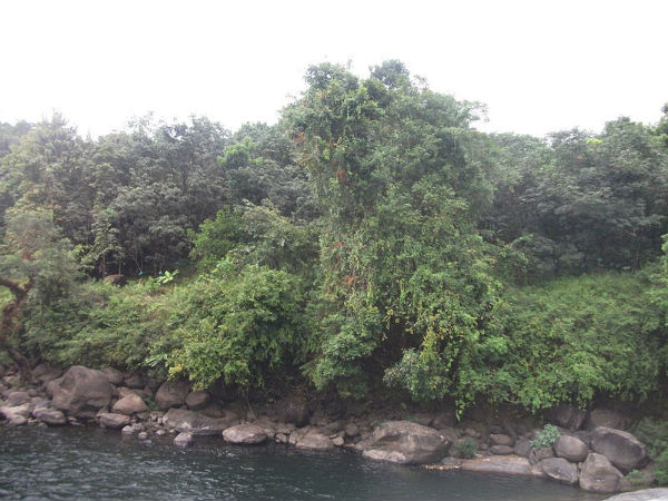 ಅಣ್ಣಕ್ಕೊಂಪಾಯಿಲ್‌ಗೆ ಯಾಕೆ ಭೇಟಿ ನೀಡಬೇಕು?