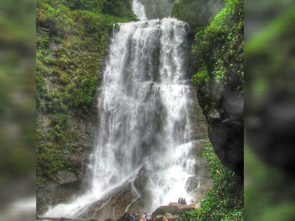 ಕಾಫಿ ತೋಟದ ನಡುವೆ ಧುಮ್ಮಿಕ್ಕುವ ಜಲಧಾರೆ