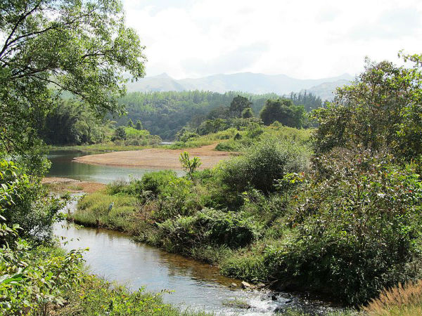 ಕುದುರೆಮುಖ ರಾಷ್ಟ್ರೀಯ ಉದ್ಯಾನವನದ ಮೂಲಕ ಒಂದು ಸವಾರಿ 