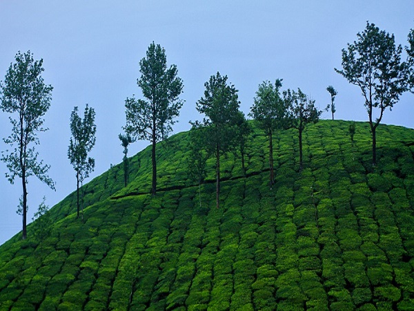 ಗಿರಿಧಾಮಗಳು