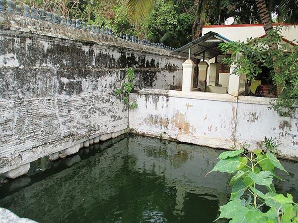ನಾಗರ ಕೋಯಿಲ್ ನಾಗರಾಜ ದೇವಾಲಯ