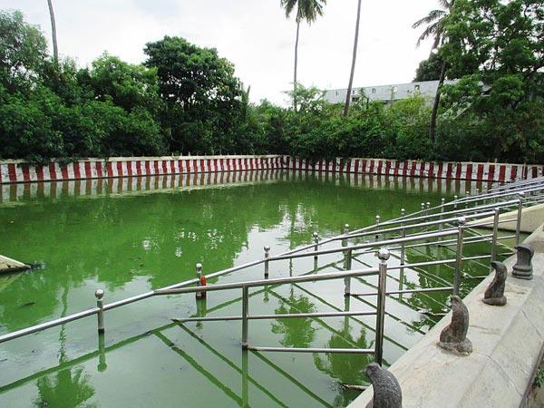 ನಾಗರ ಕೋಯಿಲ್ ನಾಗರಾಜ ದೇವಾಲಯ