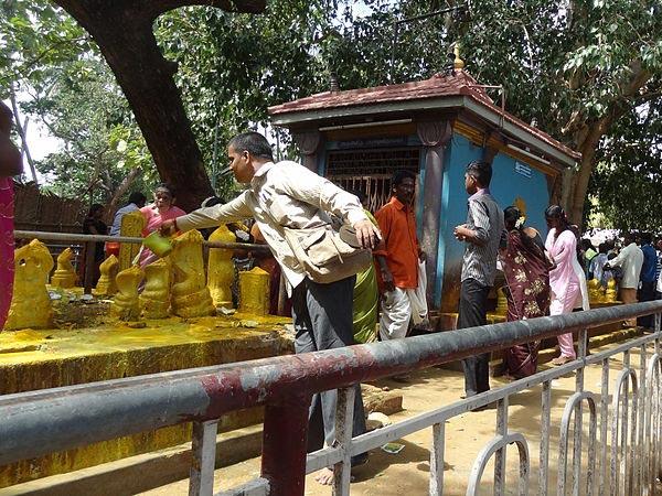 ನಾಗರ ಕೋಯಿಲ್ ನಾಗರಾಜ ದೇವಾಲಯ