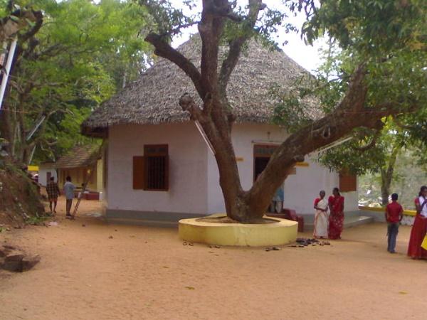 ಅದ್ವೈತ ಆಶ್ರಮ ಅಲುವಾದಲ್ಲಿದೆ 