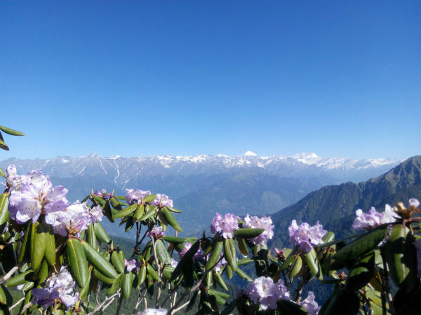 ಡಿಯೋ ಟಿಬ್ಬಾ ಬೇಸ್