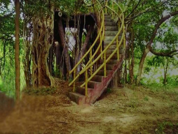 ಪಾರ್ಕ್‌ನ ವಿಶೇಷತೆ ಏನು ? 